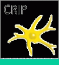 crip_logo_gruen.gif
