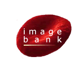 image-bank
